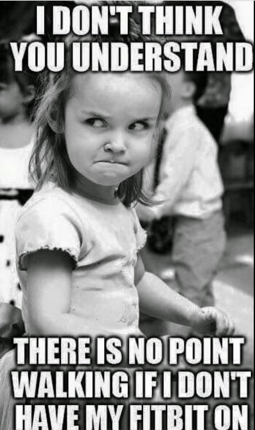 The Allure of the Fitbit