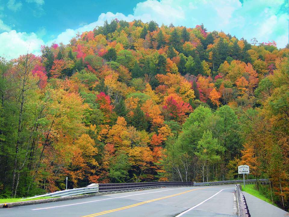 Fall is Just Around the Corner