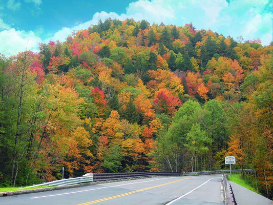 Fall is Just Around the Corner