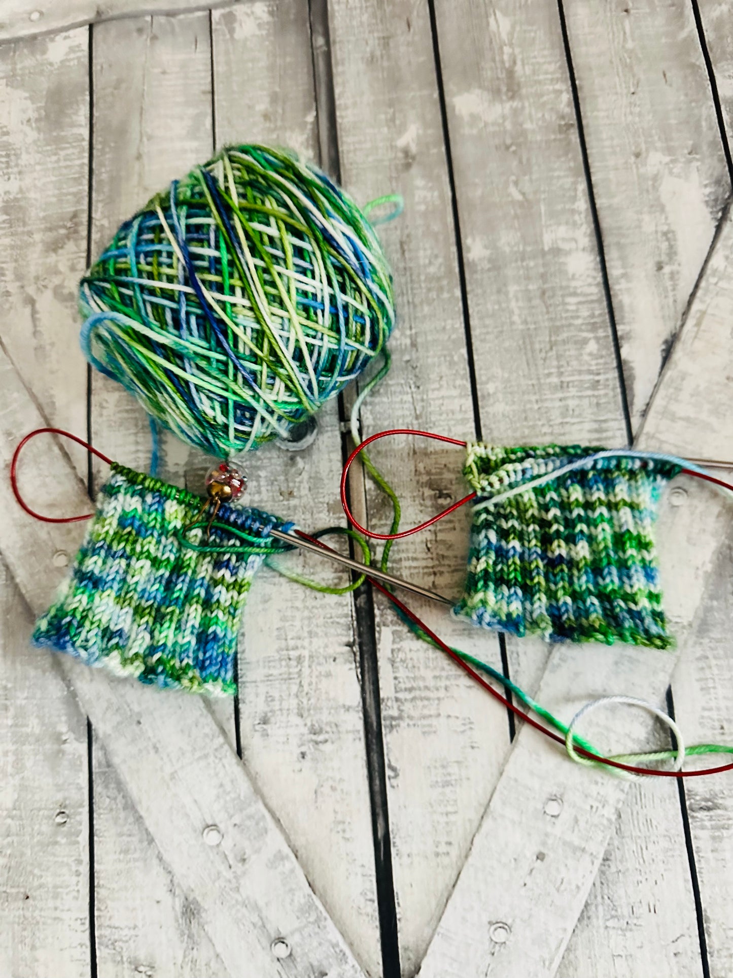 BEASTS OF EXTRAORDINARY CIRCUMSTANCE - Favorite Books Monthly Yarn Club, Hand Dyed Superwash Merino Yarn,Toad Hollow Yarns