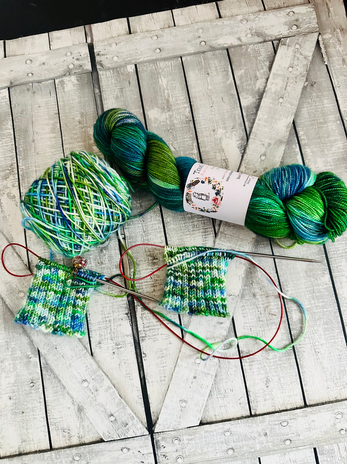 BEASTS OF EXTRAORDINARY CIRCUMSTANCE - Favorite Books Monthly Yarn Club, Hand Dyed Superwash Merino Yarn,Toad Hollow Yarns