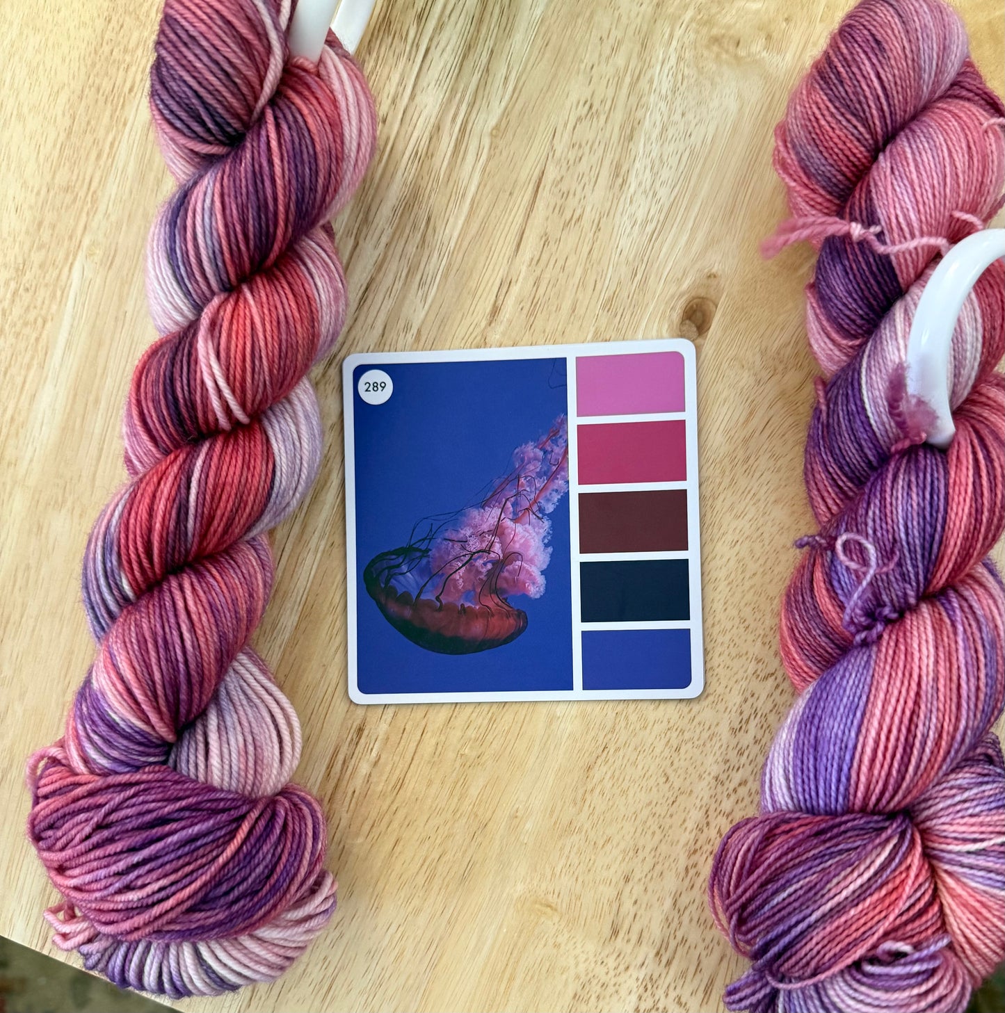 DECLAN’S JELLYFISH, The Nephews’ Yarns, Toad Hollow Yarns