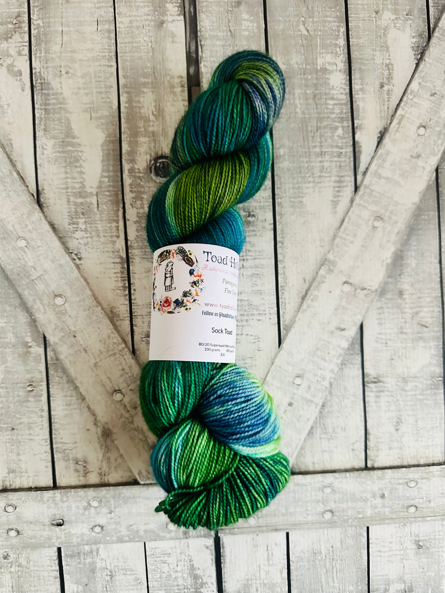 BEASTS OF EXTRAORDINARY CIRCUMSTANCE - Favorite Books Monthly Yarn Club, Hand Dyed Superwash Merino Yarn,Toad Hollow Yarns