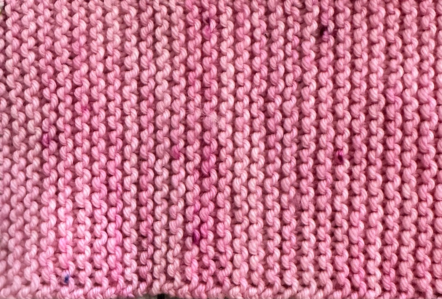 CATKINS from our Ostara Collection, Hand Dyed Superwash Merino Yarn,Toad Hollow Yarns
