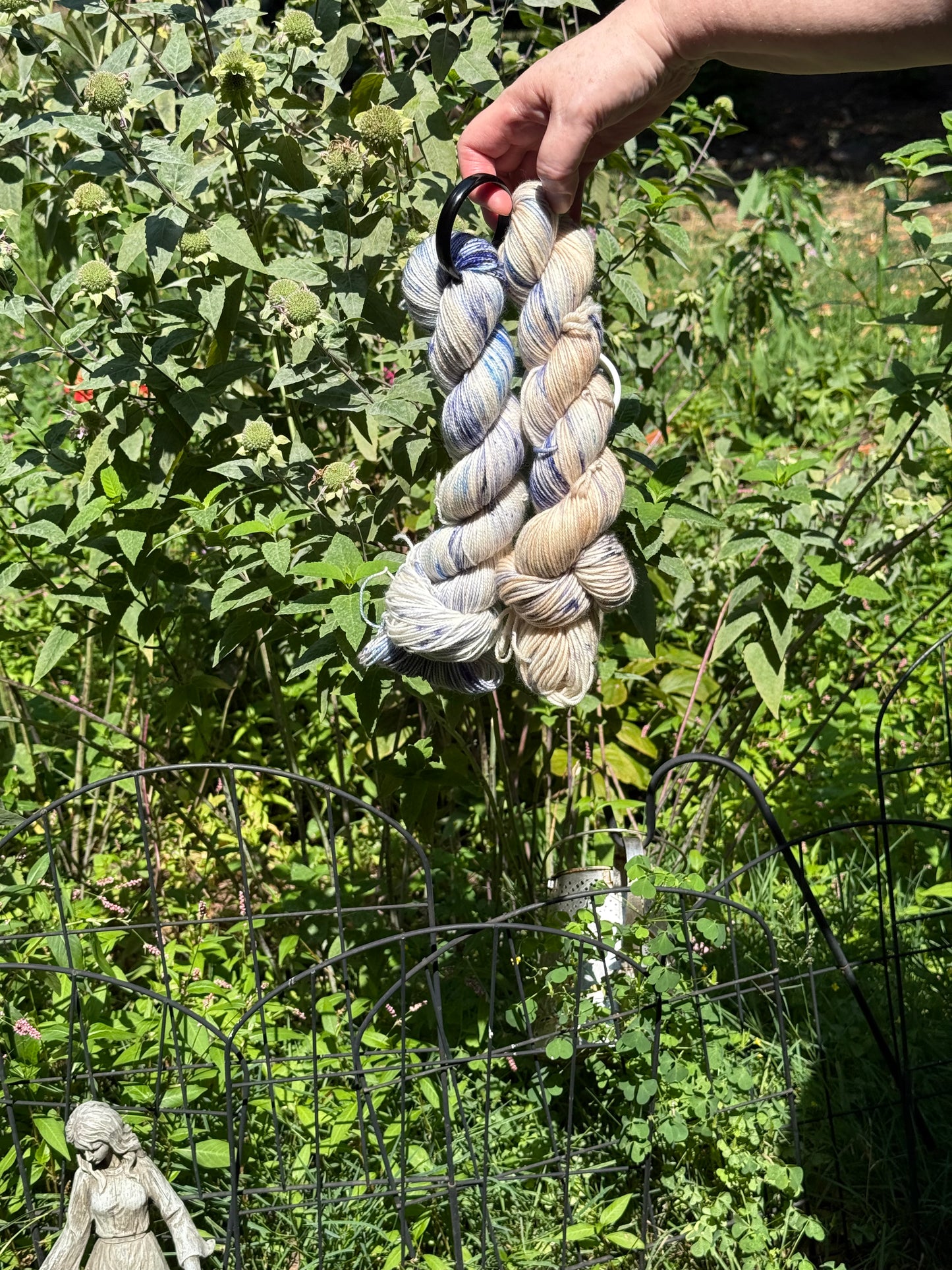BRAYDEN’S GRAPES, The Nephews’ Yarns, Toad Hollow Yarns