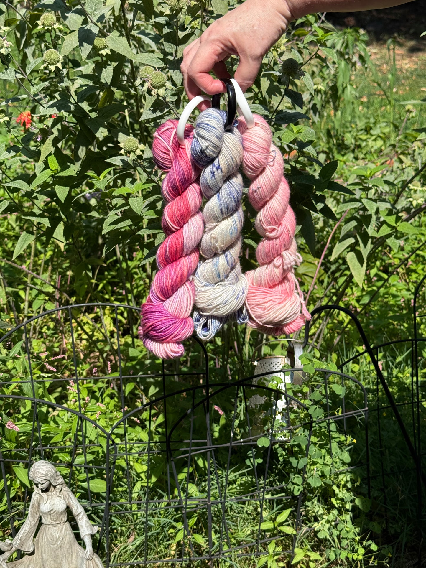 DECLAN’S JELLYFISH, The Nephews’ Yarns, Toad Hollow Yarns