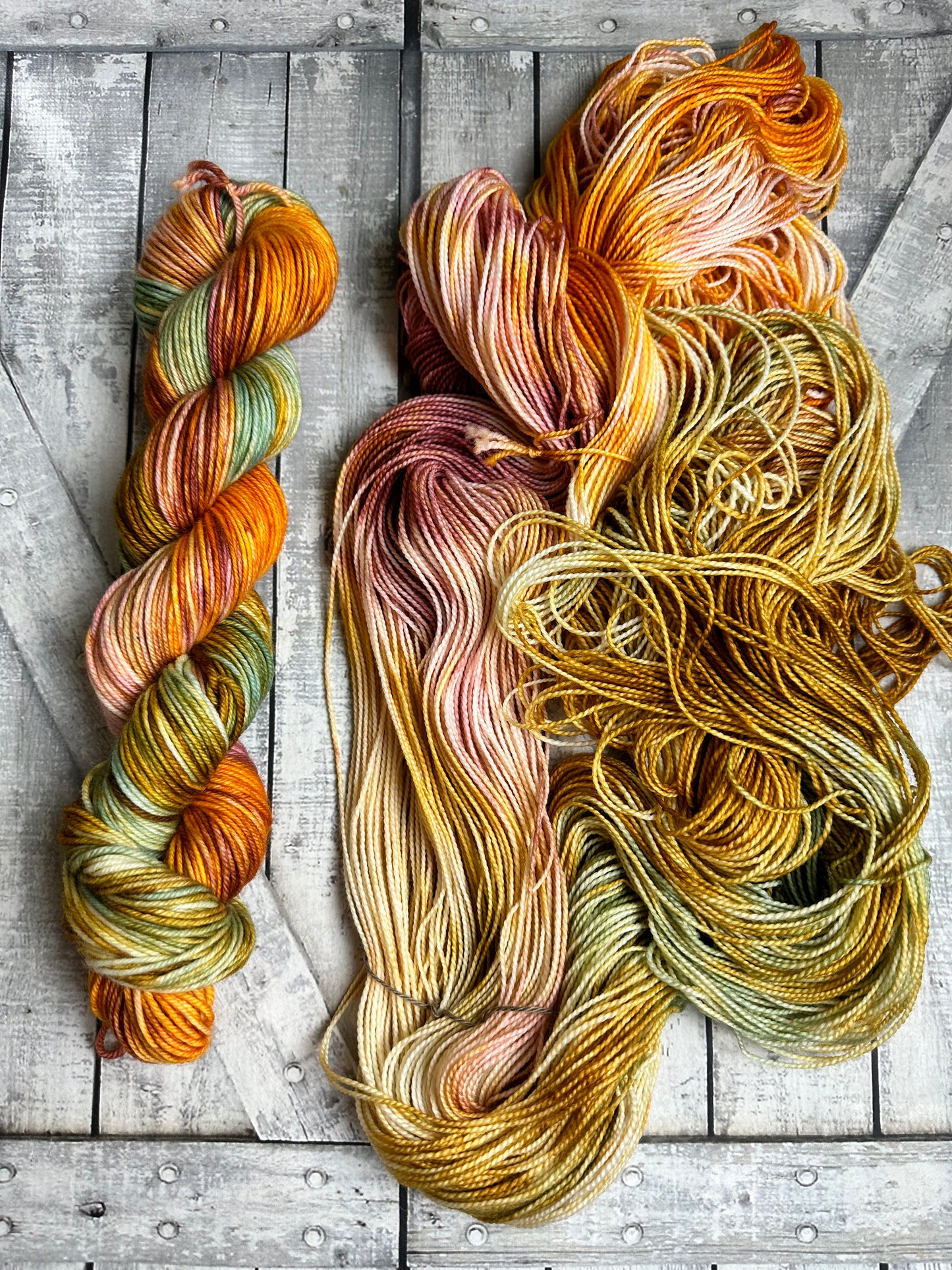 THE PICNIC, Hand Dyed Superwash Merino Yarn,Toad Hollow Yarns
