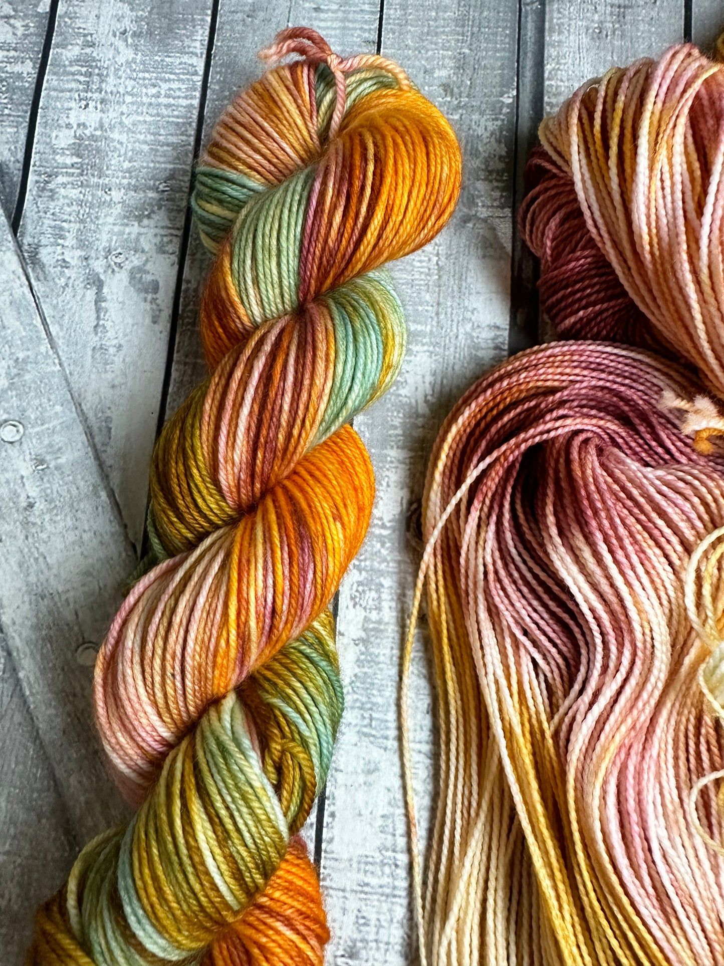 THE PICNIC, Hand Dyed Superwash Merino Yarn,Toad Hollow Yarns