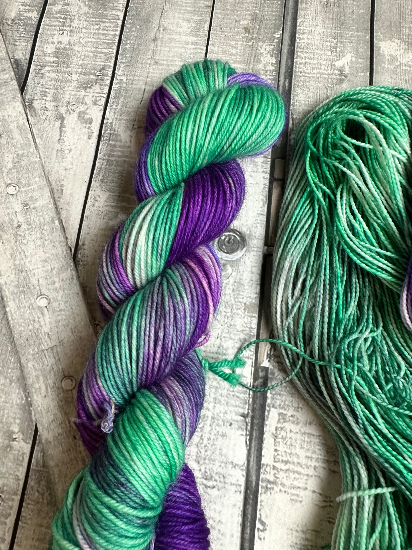 MOON FOREST, Hand Dyed Superwash Merino Yarn,Toad Hollow Yarns
