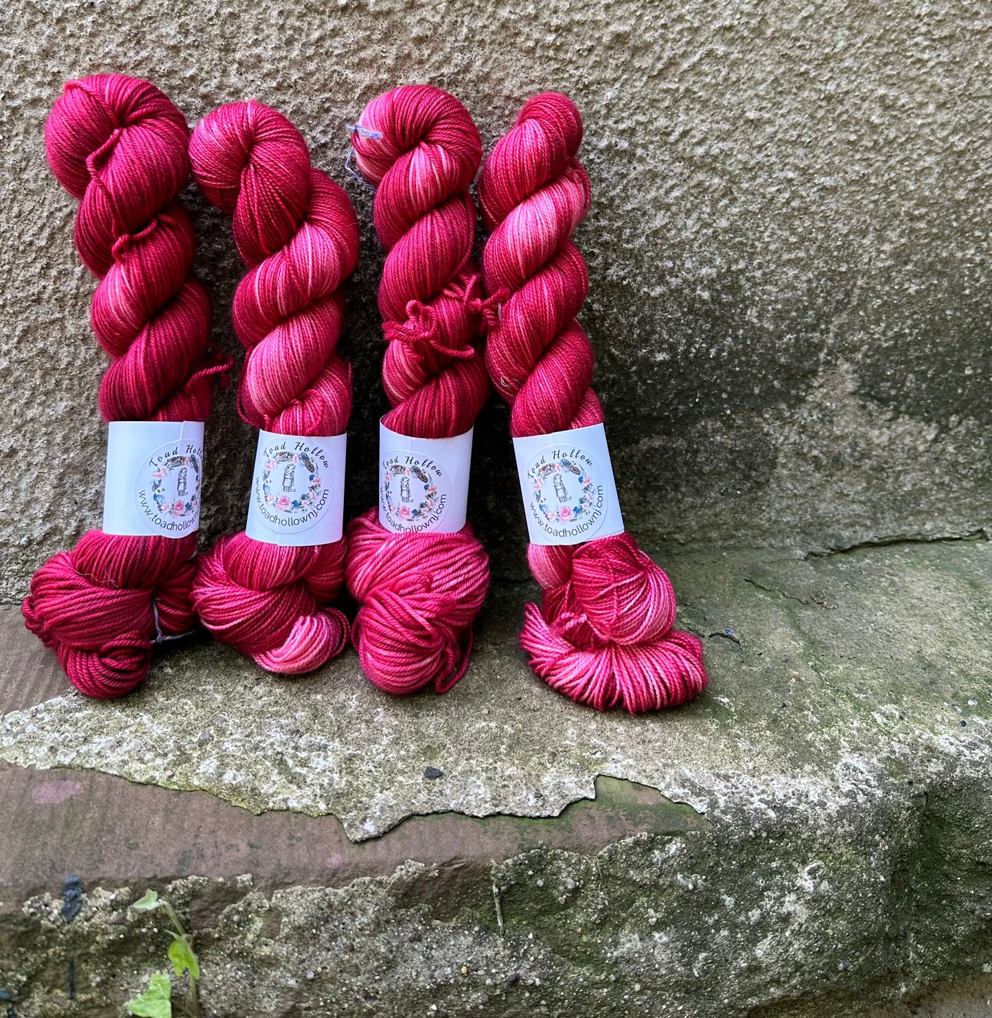 POISON APPLES Hand Dyed Superwash Merino Yarn, Toad Hollow Yarns