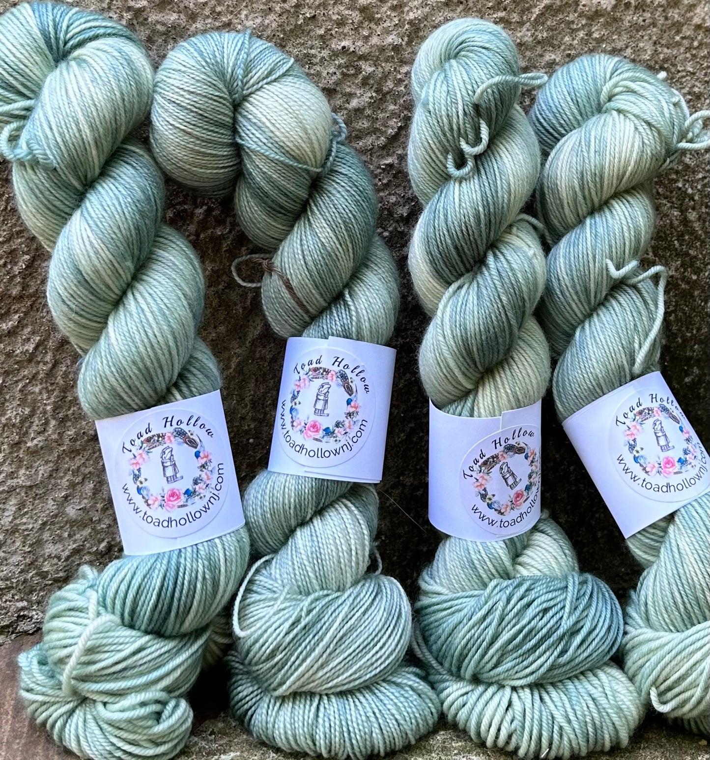 GREEN BACKED BOOKS Hand Dyed Superwash Merino Yarn,Toad Hollow Yarns