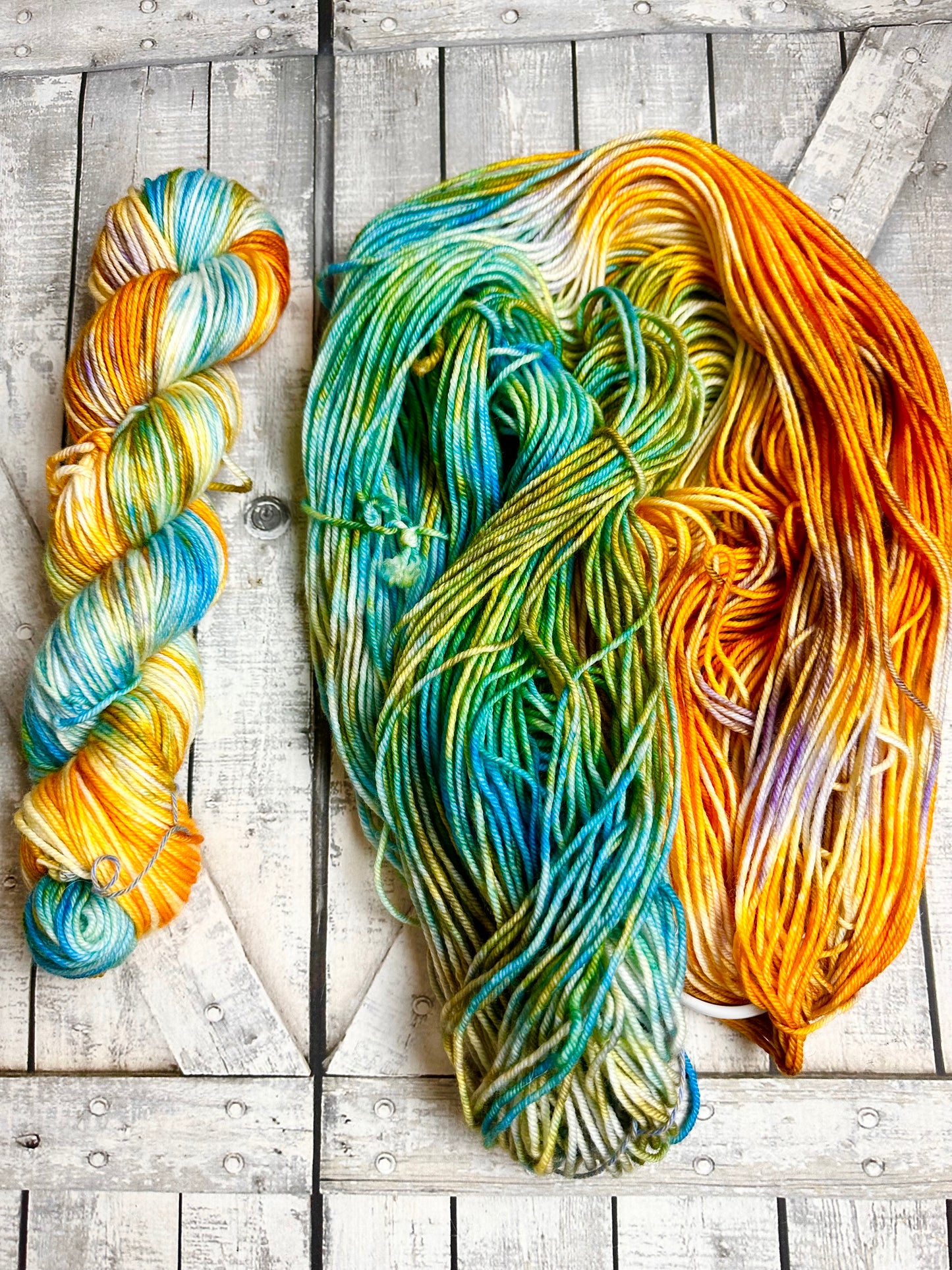 REMARKABLY BRIGHT CREATURS - A sample of our Favorite Books Monthly Yarn Club, Hand Dyed Superwash Merino Yarn,Toad Hollow Yarns