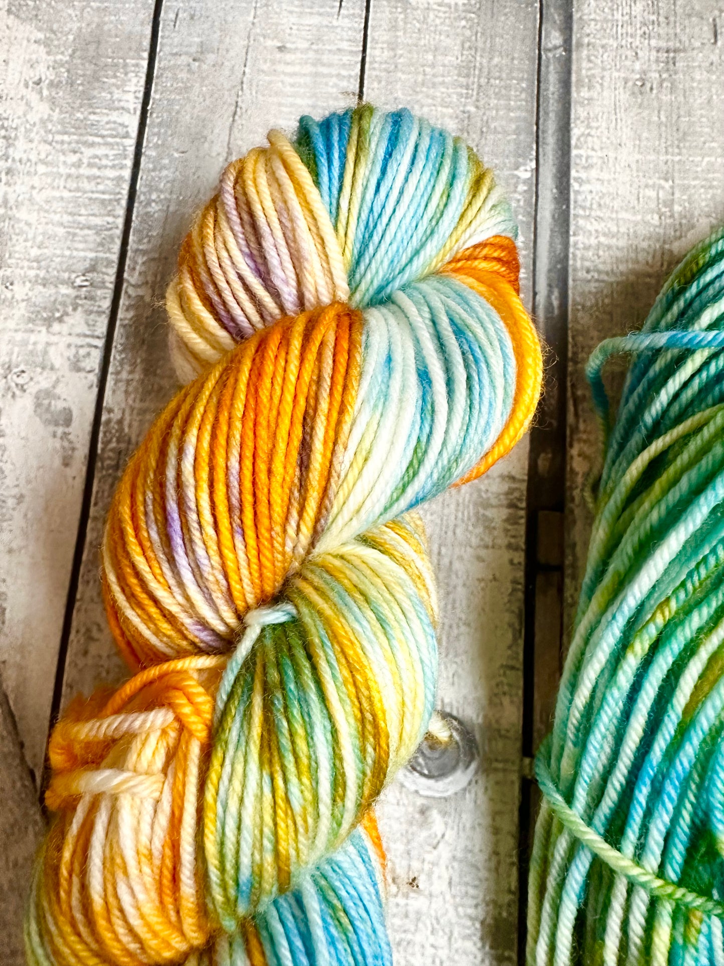 REMARKABLY BRIGHT CREATURS - A sample of our Favorite Books Monthly Yarn Club, Hand Dyed Superwash Merino Yarn,Toad Hollow Yarns