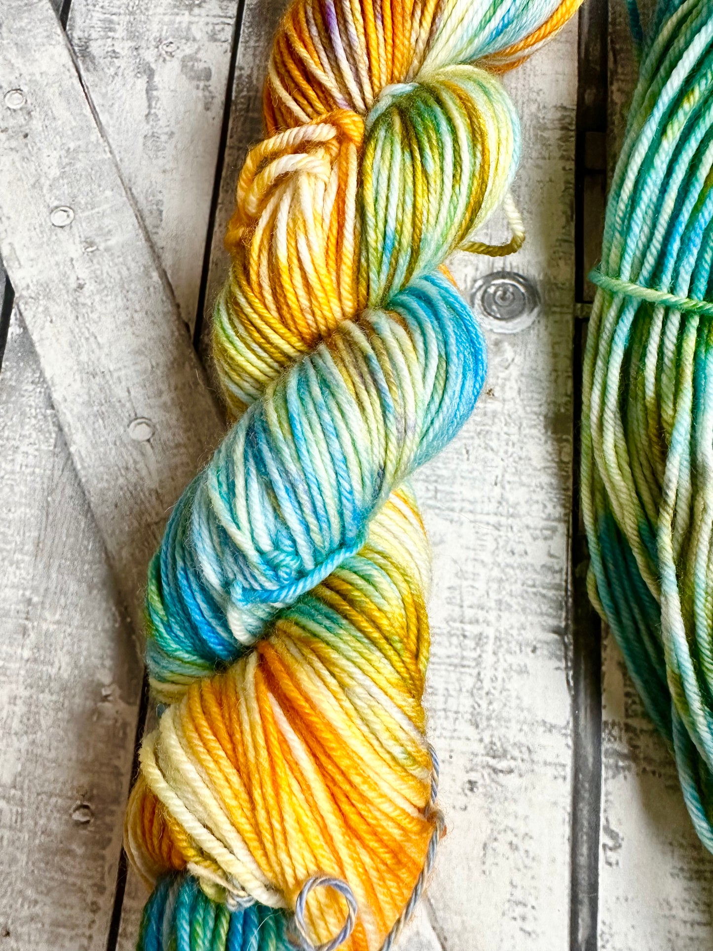 REMARKABLY BRIGHT CREATURS - A sample of our Favorite Books Monthly Yarn Club, Hand Dyed Superwash Merino Yarn,Toad Hollow Yarns