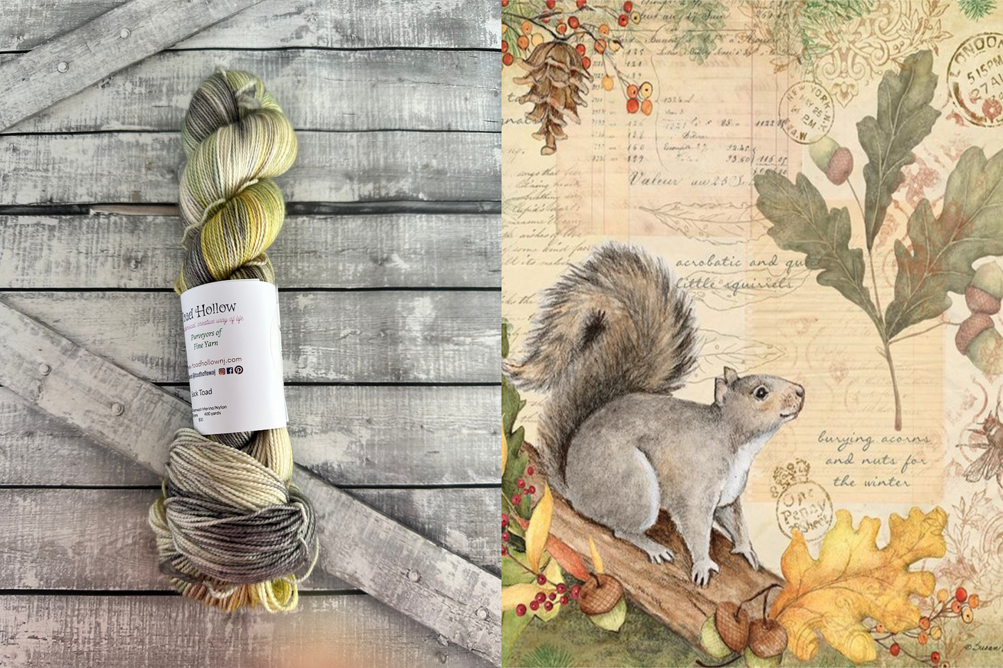 THE SQUIRREL - February’s Denizens of The Hollow Yarn, Hand Dyed Superwash Merino Yarn,Toad Hollow Yarns