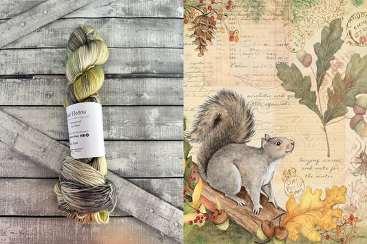 THE SQUIRREL - February’s Denizens of The Hollow Yarn, Hand Dyed Superwash Merino Yarn,Toad Hollow Yarns