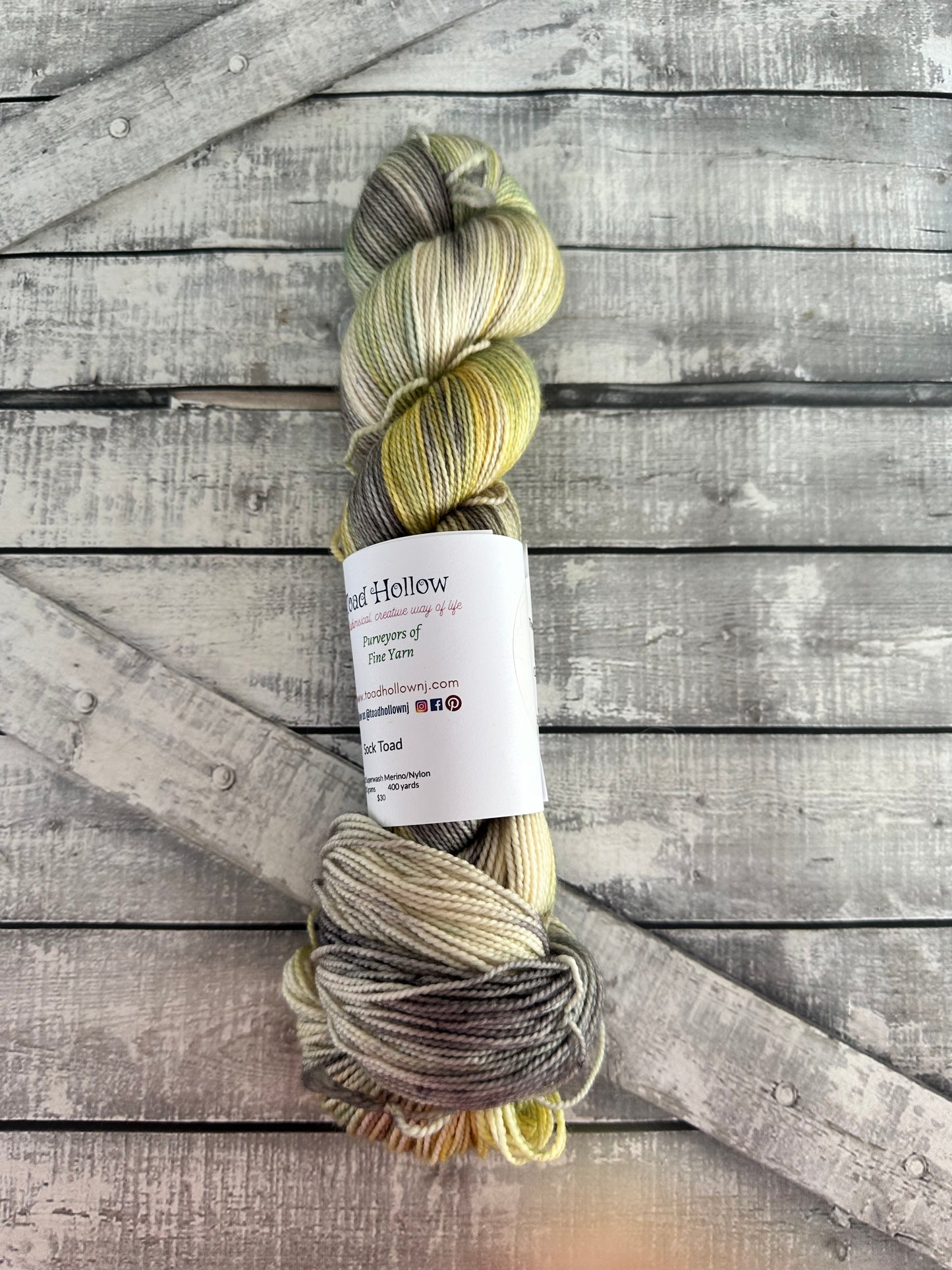 THE SQUIRREL - February’s Denizens of The Hollow Yarn, Hand Dyed Superwash Merino Yarn,Toad Hollow Yarns