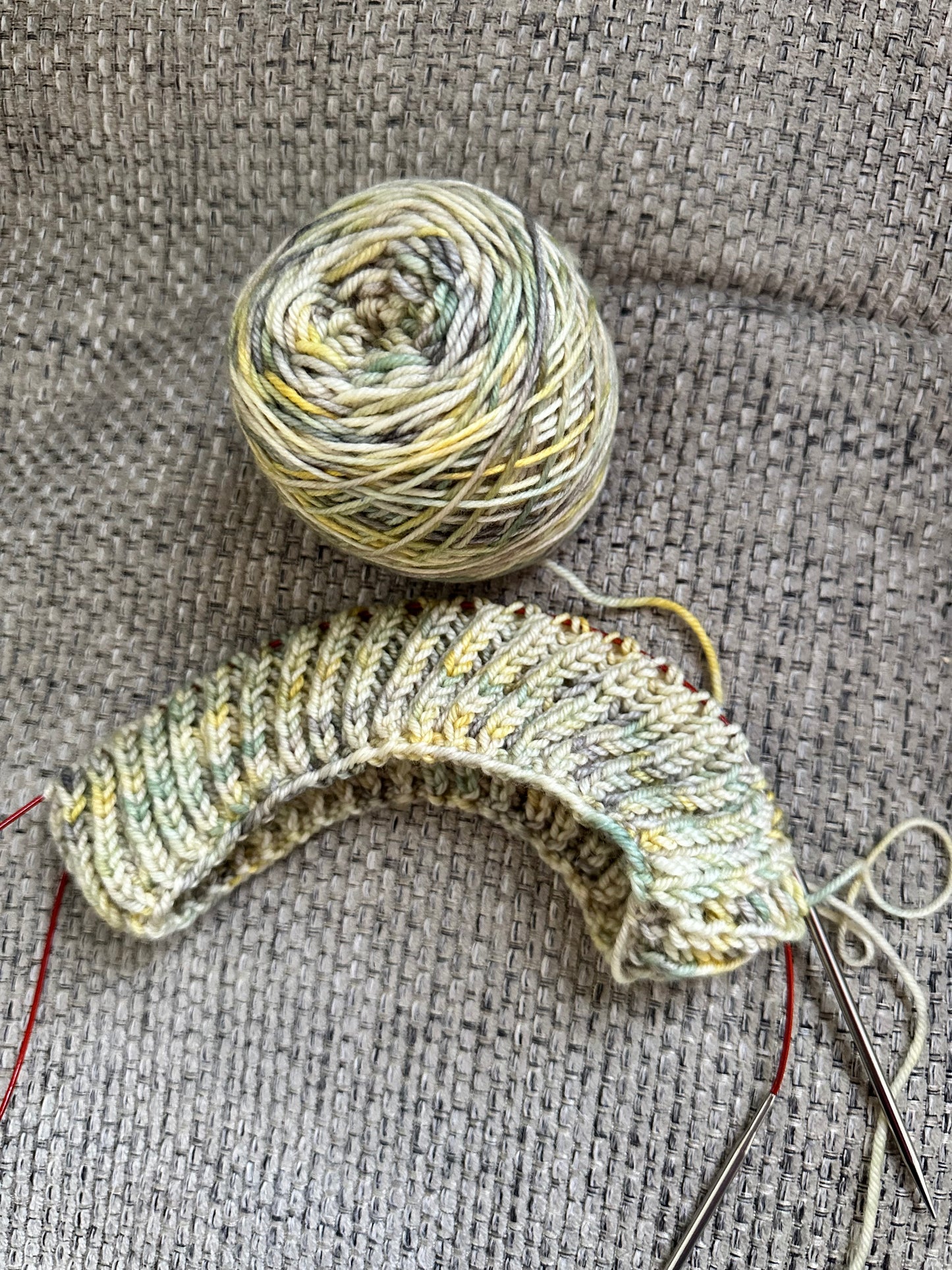 THE SQUIRREL - February’s Denizens of The Hollow Yarn, Hand Dyed Superwash Merino Yarn,Toad Hollow Yarns