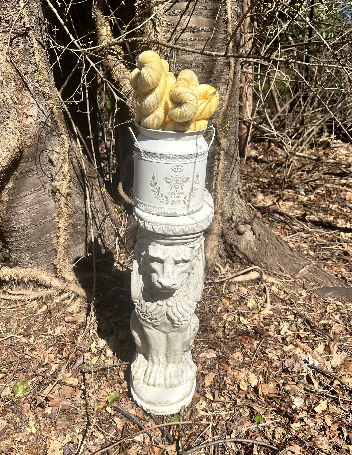 HIDDEN ENTRANCE from our Secret Gardens Collection, Hand Dyed Superwash Merino Yarn,Toad Hollow Yarns
