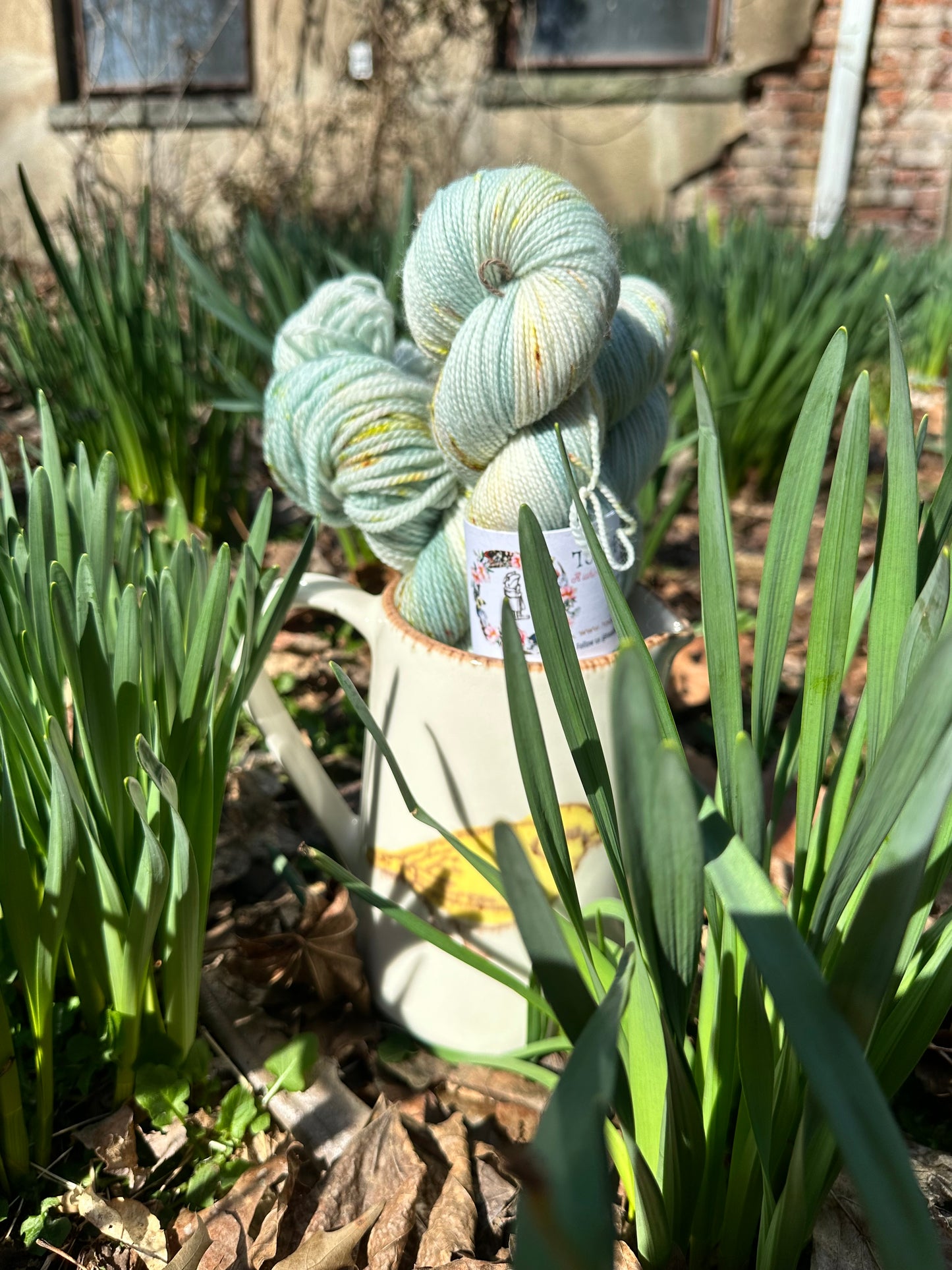 WANDERING PATHS from our Secret Gardens Collection, Hand Dyed Superwash Merino Yarn,Toad Hollow Yarns