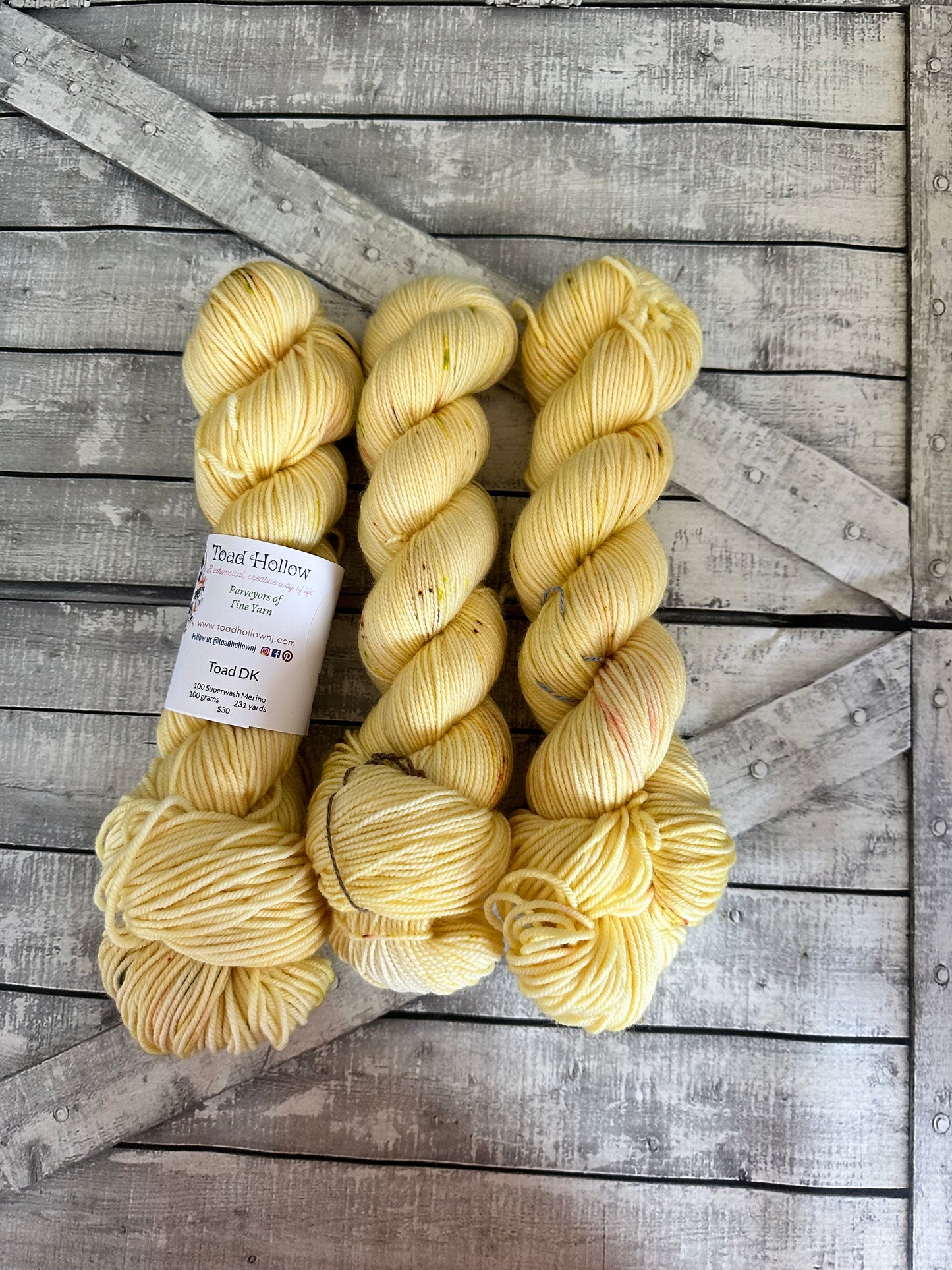HIDDEN ENTRANCE from our Secret Gardens Collection, Hand Dyed Superwash Merino Yarn,Toad Hollow Yarns
