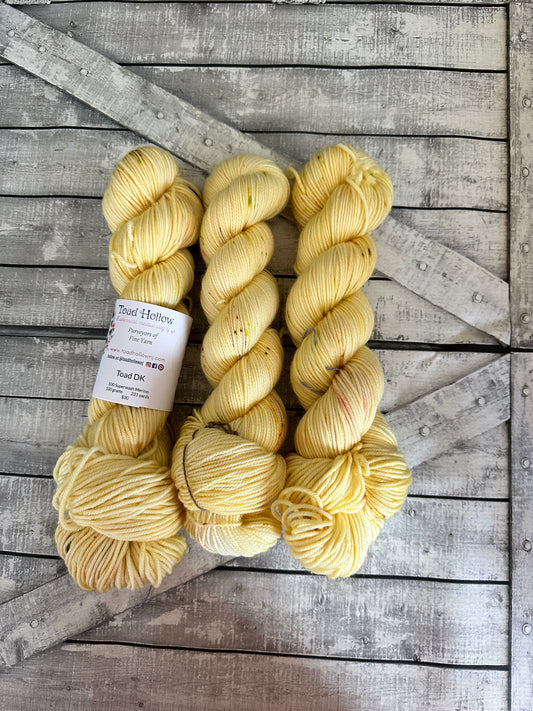 HIDDEN ENTRANCE from our Secret Gardens Collection, Hand Dyed Superwash Merino Yarn,Toad Hollow Yarns