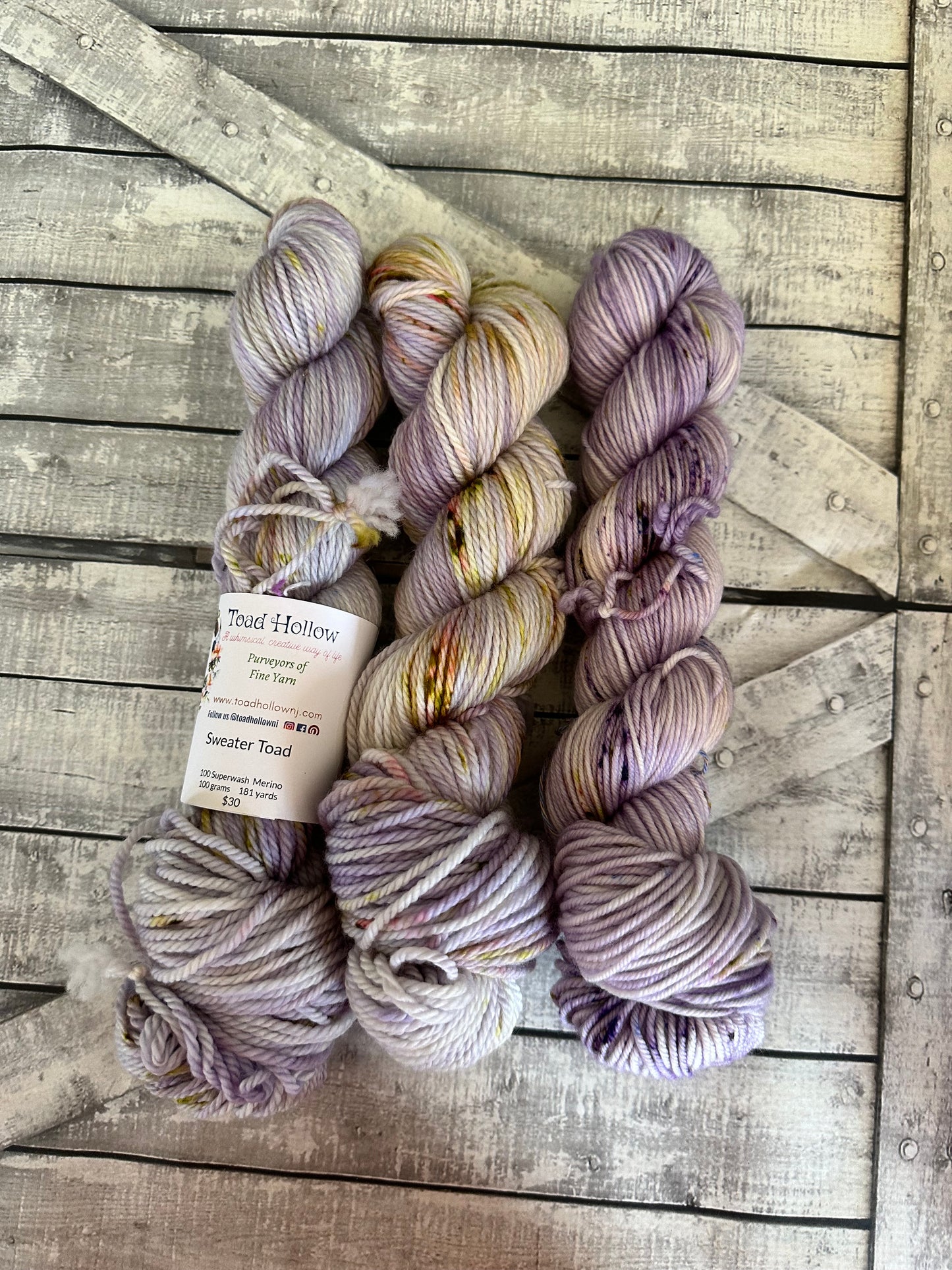 WHIMS OF WISTERIA from our Secret Gardens Collection, Hand Dyed Superwash Merino Yarn,Toad Hollow Yarns