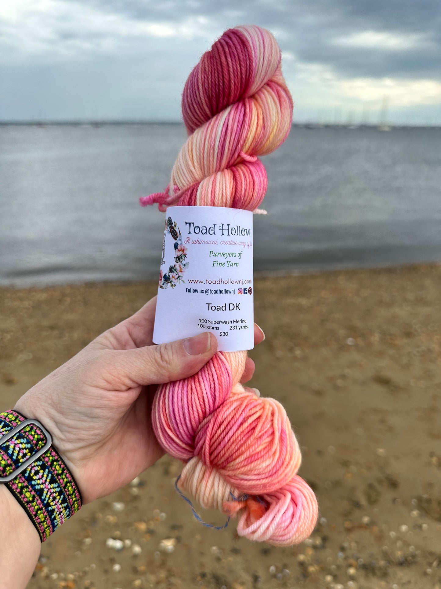 COCKLE SHELLS from our Beachcomber Collection, Hand Dyed Superwash Merino Yarn,Toad Hollow Yarns