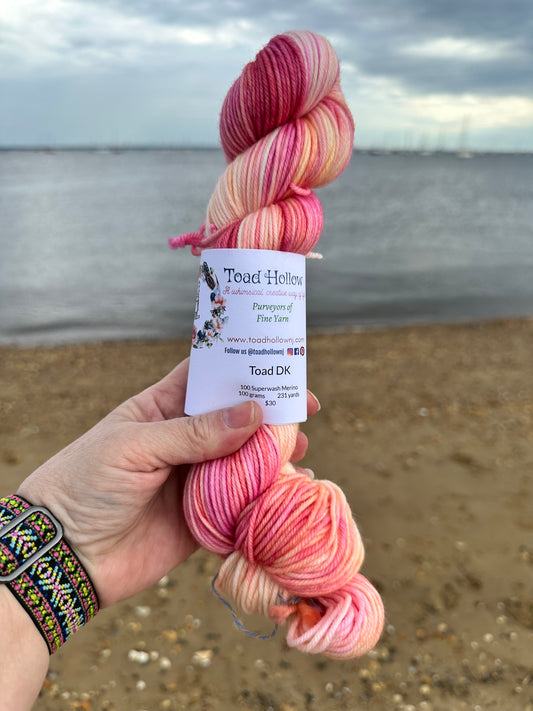 COCKLE SHELLS from our Beachcomber Collection, Hand Dyed Superwash Merino Yarn,Toad Hollow Yarns