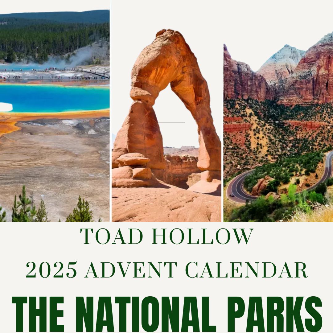 Toad Hollow 2025 Advent Calendar of Yarn Bags