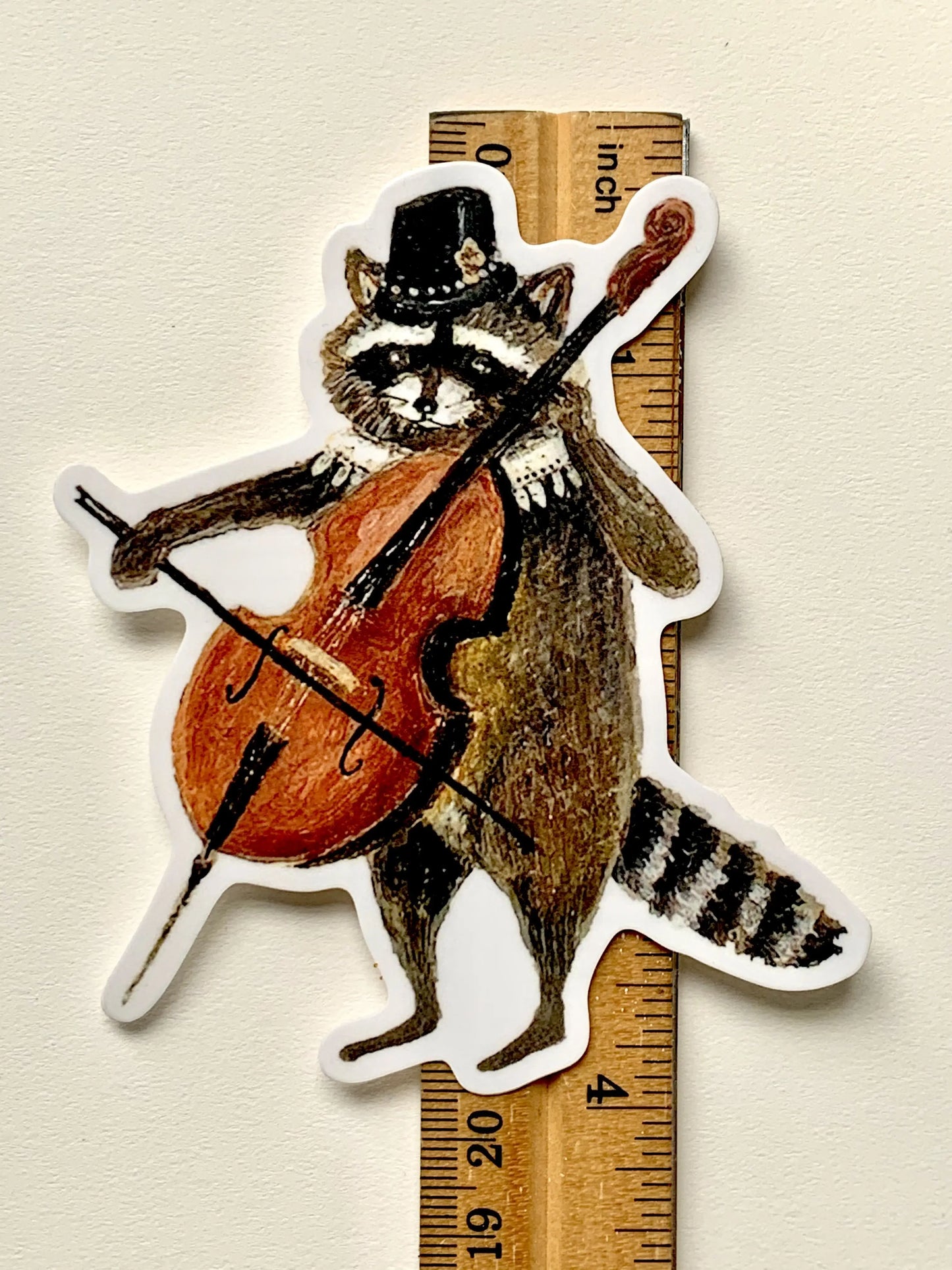 RACCOON CELLIST vinyl sticker, Jahna Vashti artist, The Olde Curiosity Shoppe