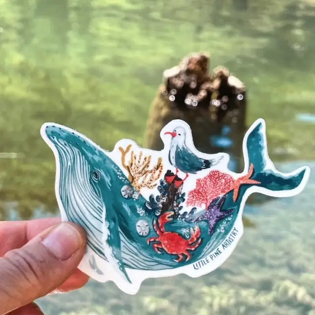 HUMPBACK WHALE vinyl sticker from Little Pine Artistry