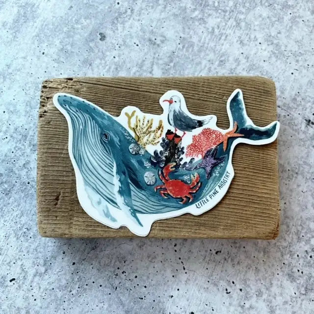 HUMPBACK WHALE vinyl sticker from Little Pine Artistry