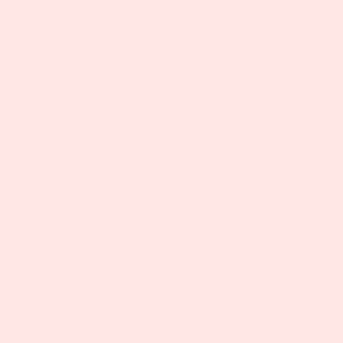 TULA PINK SOLIDS - UNICORN POOP - PEACH FUZZ, 100% Cotton, Toad Hollow Fabrics