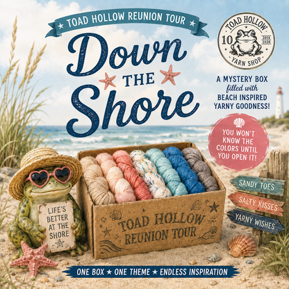 DOWN THE SHORE MINI SKEINS - July Toad Hollow Reunion Tour Yarn Club