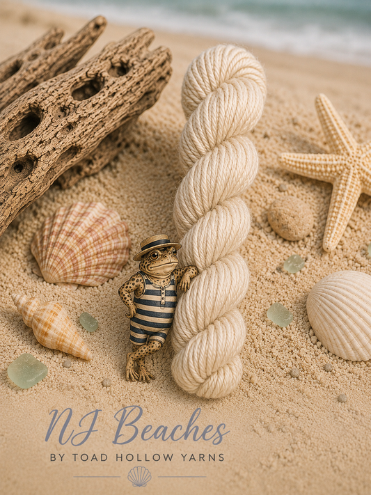 NJ BEACHES, Hand Dyed Superwash Merino Yarn,Toad Hollow Yarns