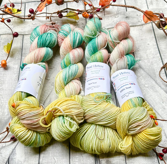 A WRINKLE IN TIME- September Favorite Books Monthly Yarn Club, Hand Dyed Superwash Merino Yarn,Toad Hollow Yarns