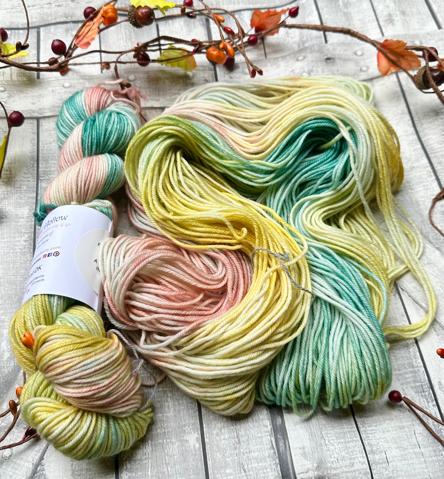 A WRINKLE IN TIME- September Favorite Books Monthly Yarn Club, Hand Dyed Superwash Merino Yarn,Toad Hollow Yarns