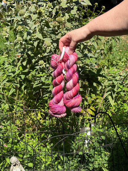 DECLAN’S JELLYFISH, The Nephews’ Yarns, Toad Hollow Yarns