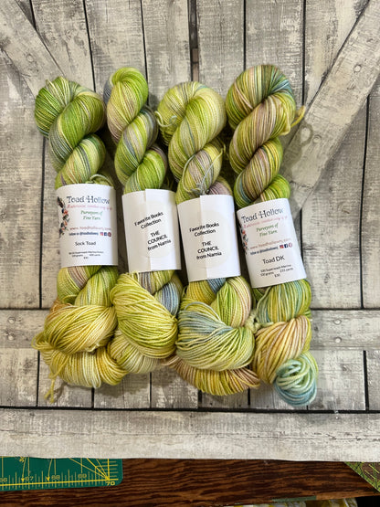 THE COUNCIL from Narnia, June’s Favorite Books Club, Hand Dyed Superwash Merino Yarn,Toad Hollow Yarns