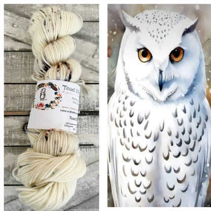 ON SILENT WINGS, January’s DENIZENS OF THE HOLLOW YARN OF THE MONTH CLUB, Hand Dyed Superwash Merino Yarn,Toad Hollow Yarns