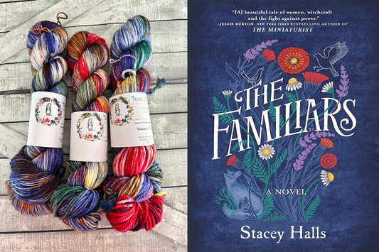 THE FAMILIARS - February’s Favorite Books Yarn, Hand Dyed Superwash Merino Yarn,Toad Hollow Yarns