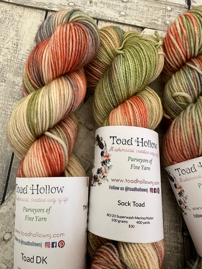 BUNNY DELIVERIES - March’s Denizens of The Hollow Yarn, Hand Dyed Superwash Merino Yarn,Toad Hollow Yarns