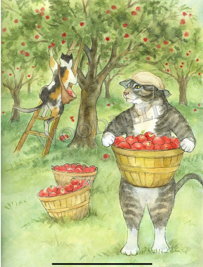 APPLE PICKING PRINT by Woodfield Press, The Olde Curiosity Shoppe, Toad Hollow