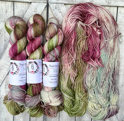 WE DON’T TALK ABOUT BRUNO, August Disney Yarn of the Month, Hand Dyed Superwash Merino Yarn,Toad Hollow Yarns