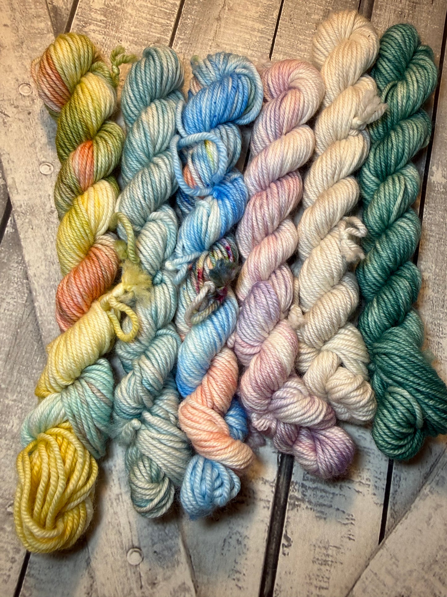 DOWN THE SHORE MINI SKEINS - July Toad Hollow Reunion Tour Yarn Club