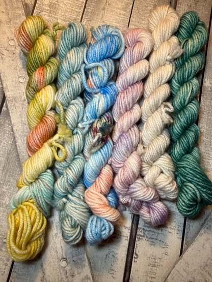 DOWN THE SHORE MINI SKEINS - July Toad Hollow Reunion Tour Yarn Club