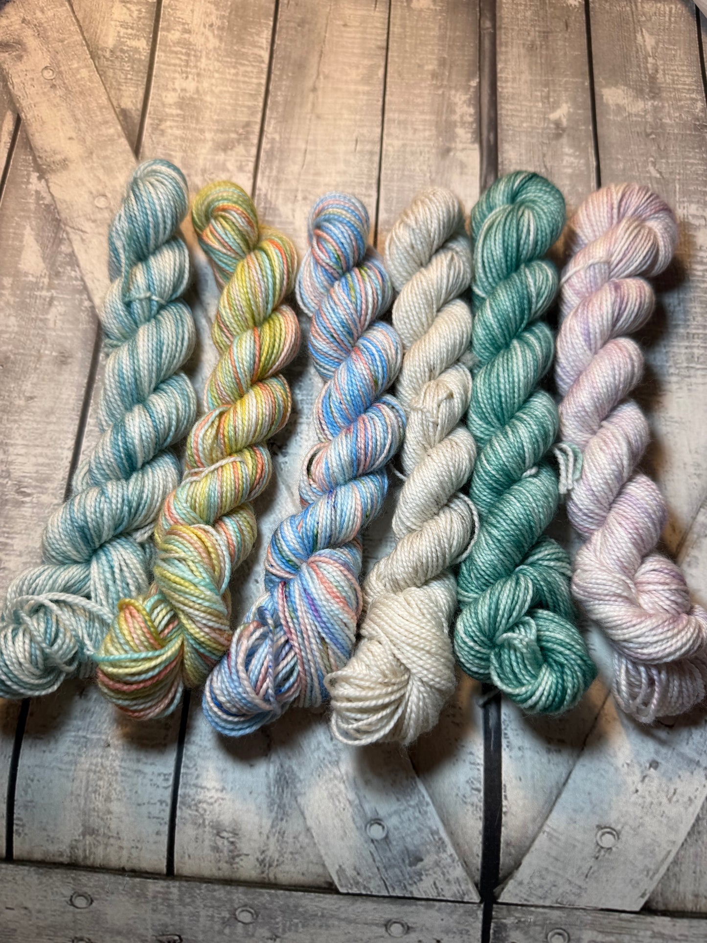 DOWN THE SHORE MINI SKEINS - July Toad Hollow Reunion Tour Yarn Club