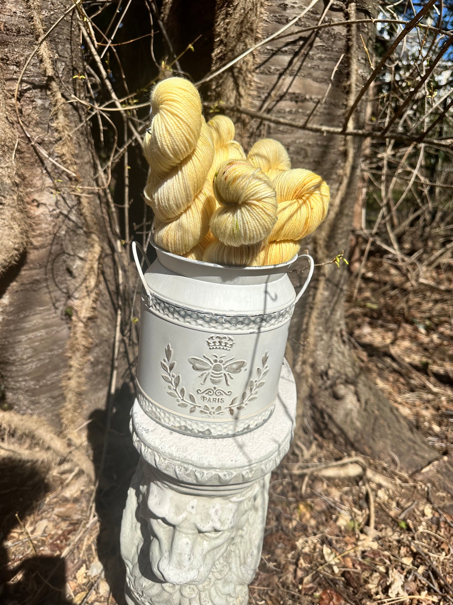 HIDDEN ENTRANCE from our Secret Gardens Collection, Hand Dyed Superwash Merino Yarn,Toad Hollow Yarns