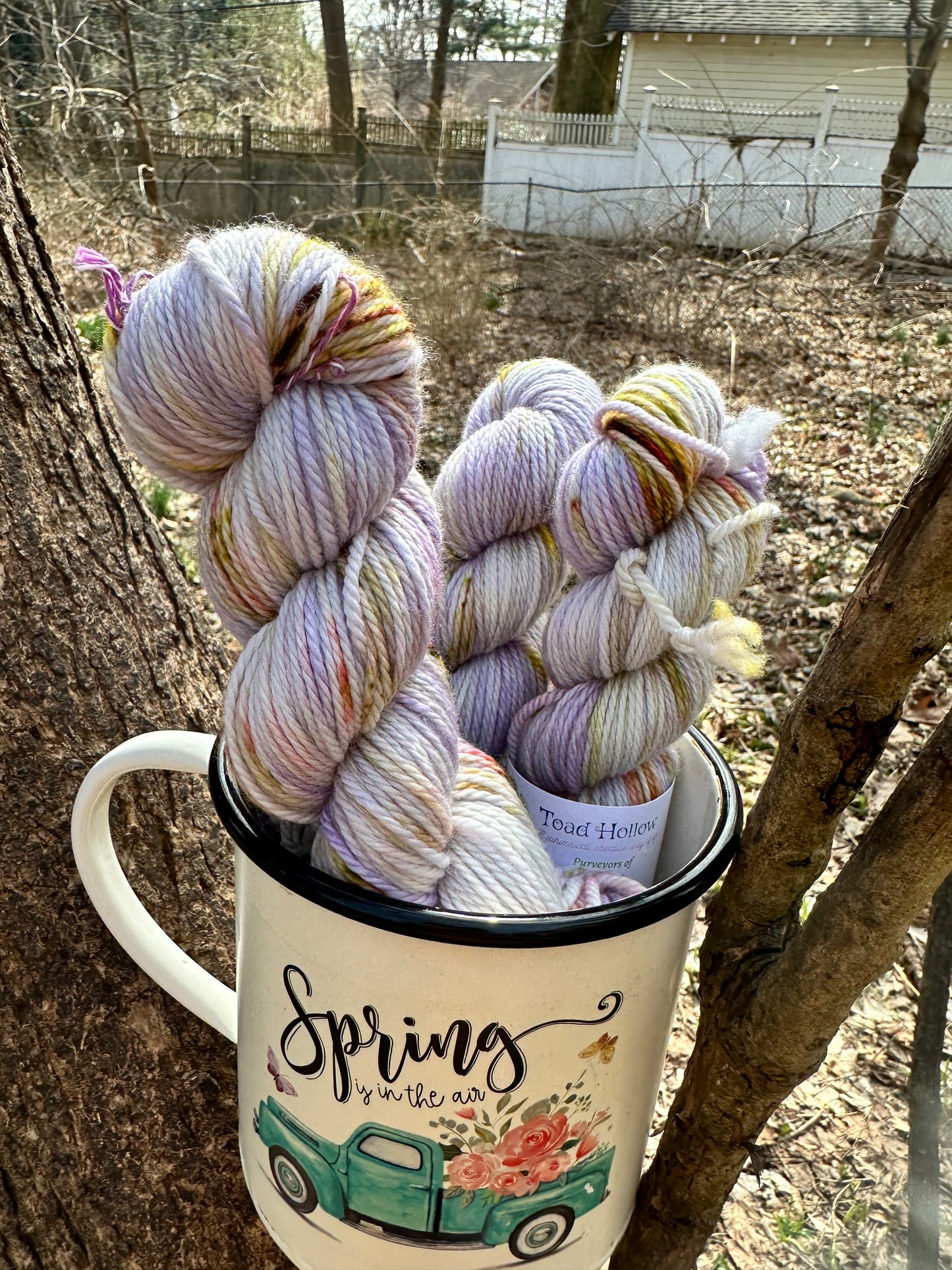 WHIMS OF WISTERIA from our Secret Gardens Collection, Hand Dyed Superwash Merino Yarn,Toad Hollow Yarns